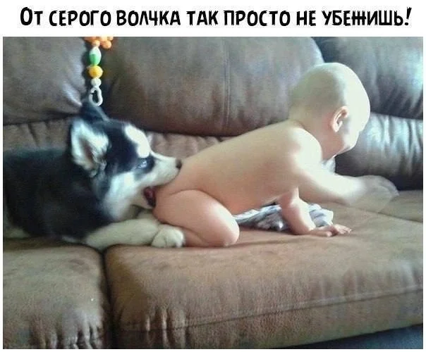 Новая партия юмора прибыла