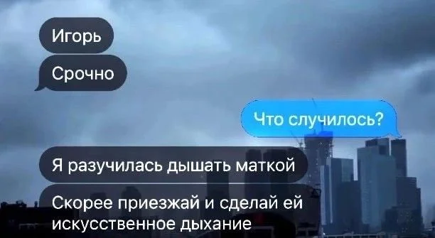 От баянов до новинок: порция смеха для каждого