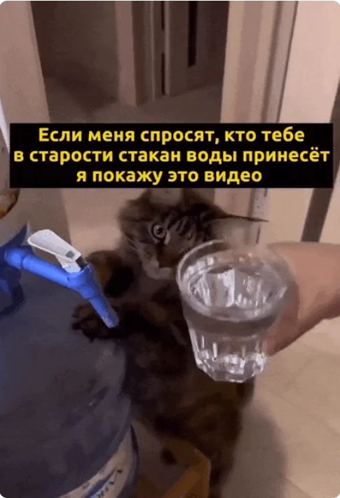 Подборка разнообразных гифок