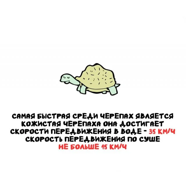 Подборка самых полезных и интересных сведений