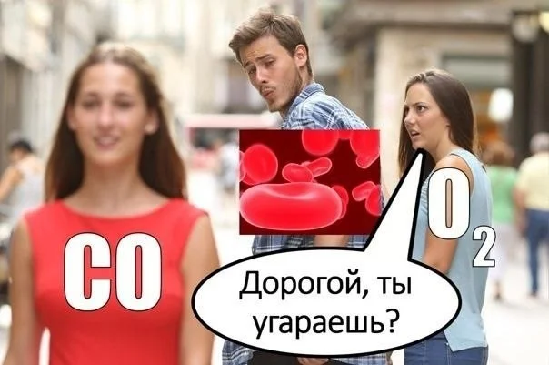 Подборка смешных картинок для вашего досуга