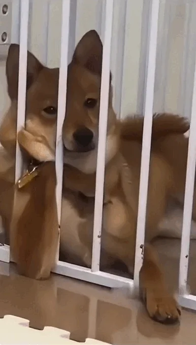 Просто гифки, всякие и разные