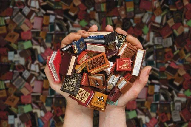 Размер имеет значение? Эти 18 снимков крохотных объектов заставят вас улыбнуться.