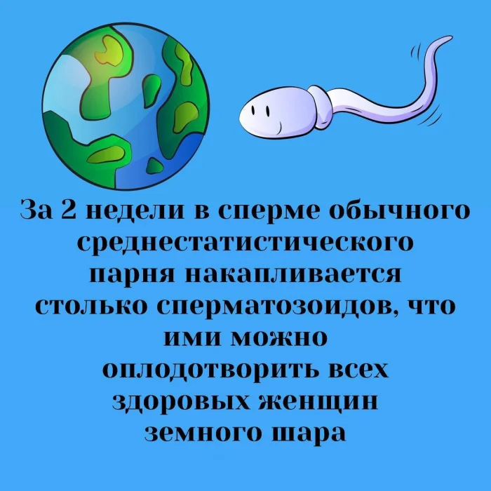 Сексуальная правда: 15 фактов, которым не научат в школе #266