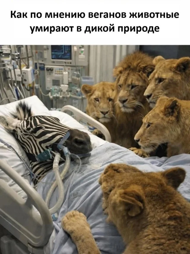 Спорим, вы улыбнетесь?