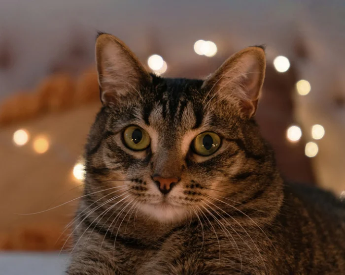 Утро, которое запомнится: 15+ историй, после которых кофе – это лишнее!