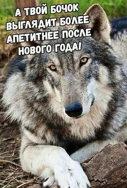 Весёлые картинки для позитивного дня