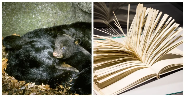 10 открытий, которые поставят под сомнение все, что вы считали правдой.