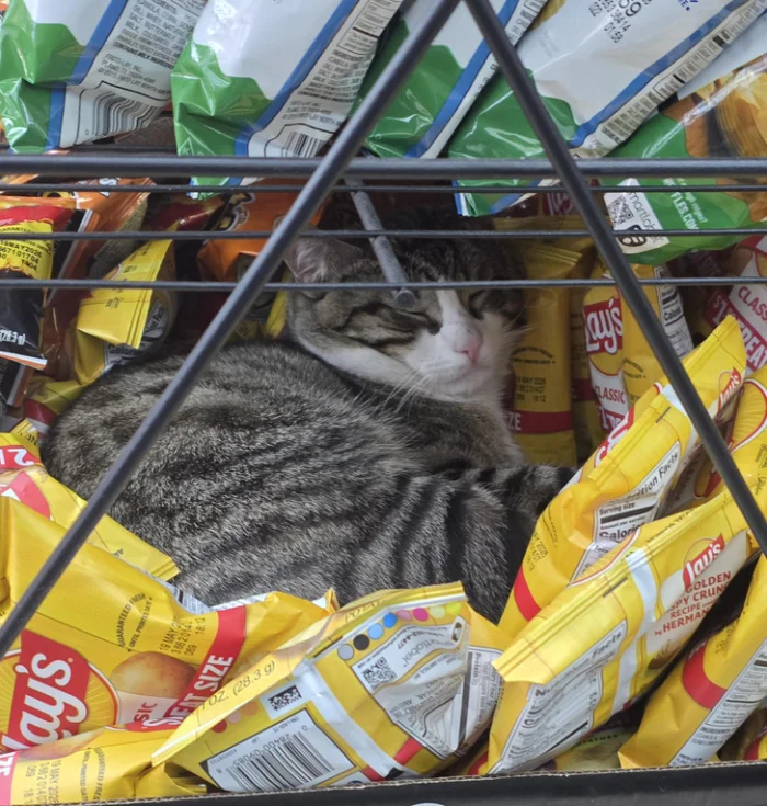 16 фотографий, которые заставляют ценить каждый момент