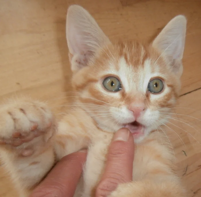 15 историй о школьных годах и учителях, оставивших след на всю жизнь