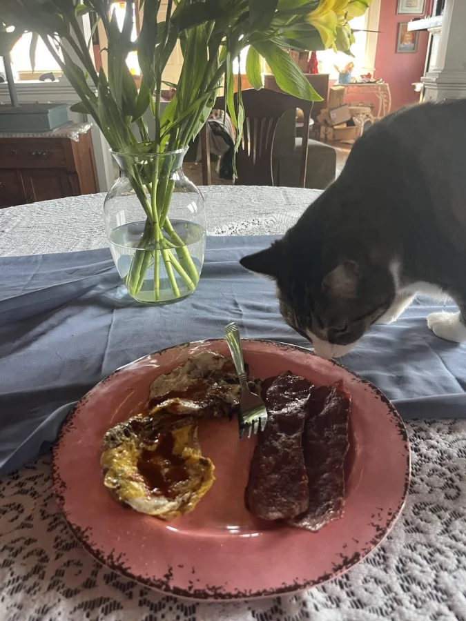 18 блюд, где голод сильнее вкуса