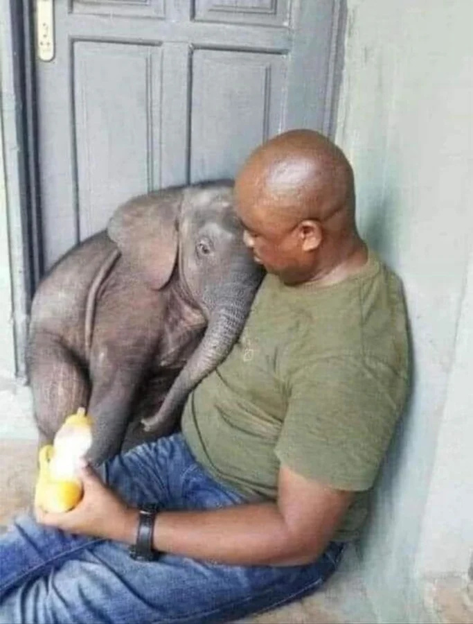 25 фотографий, наполненных теплотой и нежностью