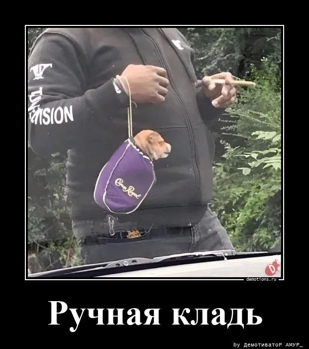 Демотиваторы, которых нам не хватало