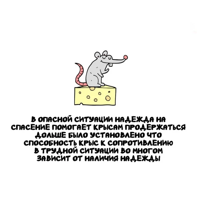 Факты для любой ситуации