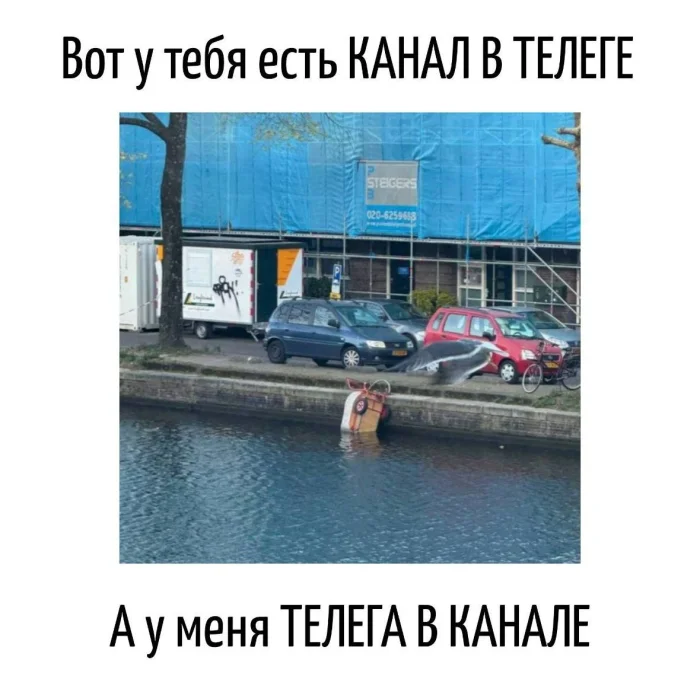 Игра слов – каламбуры, словесный юмор и прикольные картинки #165