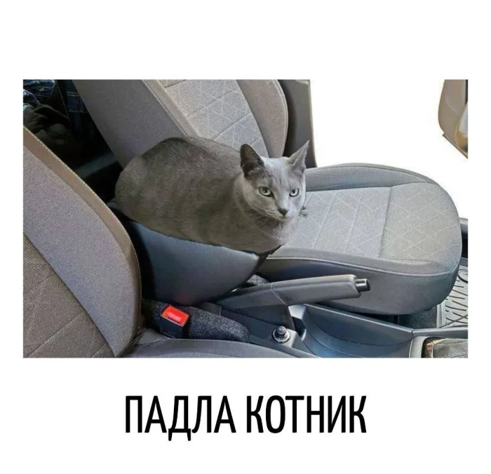 Игра слов – каламбуры, словесный юмор и прикольные картинки #175