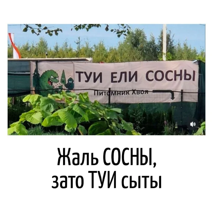 Игра слов – каламбуры, словесный юмор и прикольные картинки #175