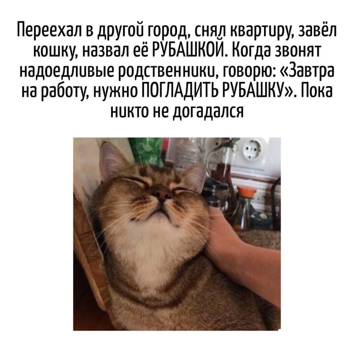 Игра слов – каламбуры, словесный юмор и прикольные картинки #182