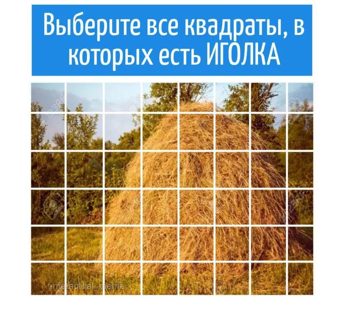 Игра слов – каламбуры, словесный юмор и прикольные картинки #185