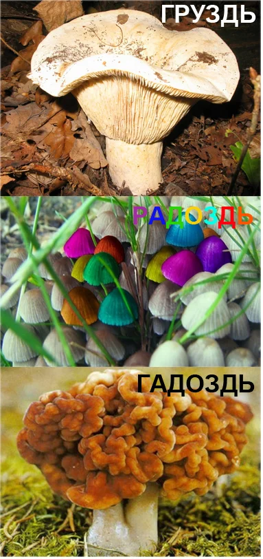 Картинки с юмором