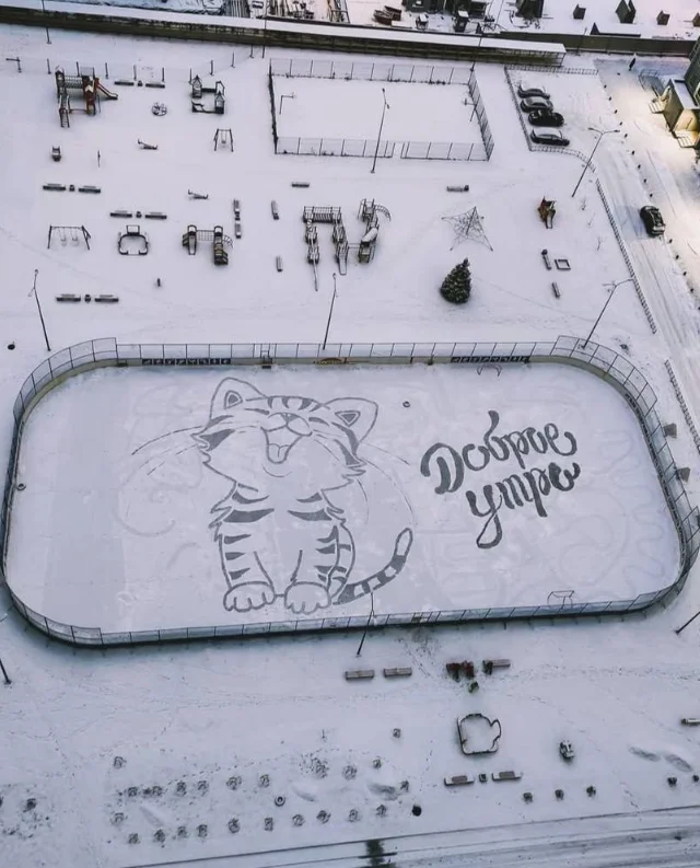 Картины, созданные снегом