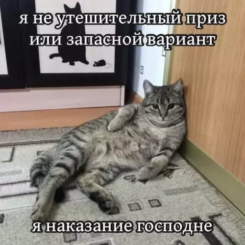 Ловите свежую порцию мемов и смешных картинок