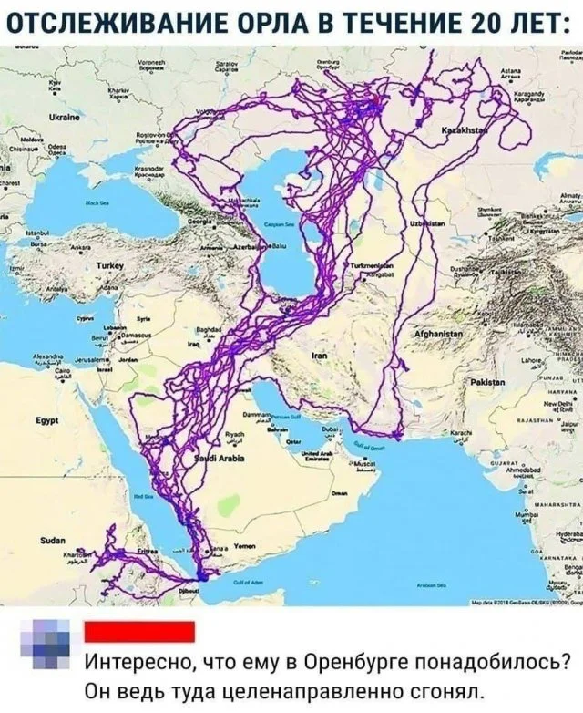 Лучшие мемы и юмор из Интернета