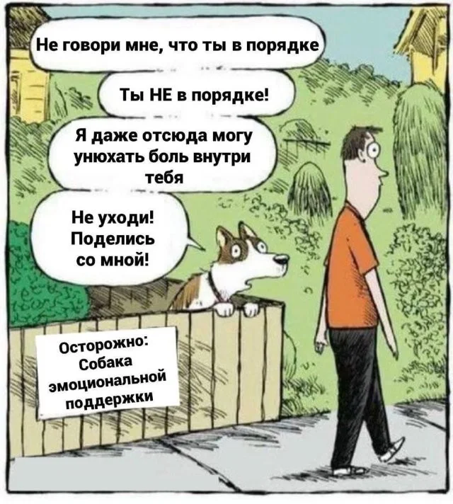 Лучшие мемы и забавные картинки из интернета