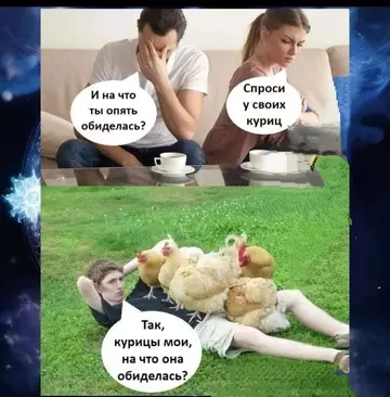 Мемы и весёлые картинки