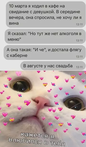 Мемы и весёлые картинки