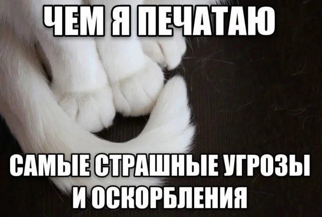 Моменты из соцсетей