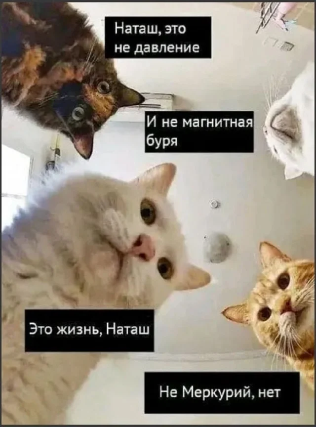 Море позитива