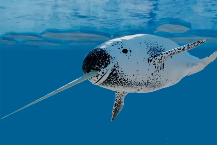 Нарвал: Рог единорога или эволюционный тупик?