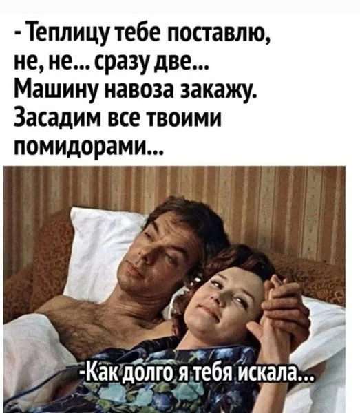 Немного юмора для поднятия настроения