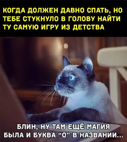Охапка смешных картинок!