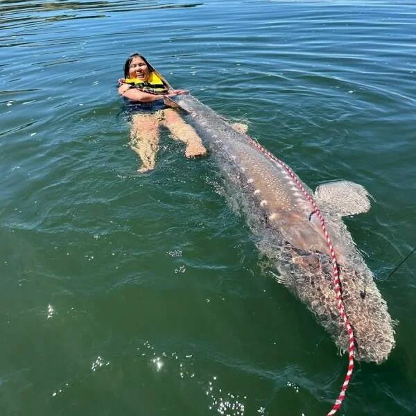 Подборка картинок с юмором