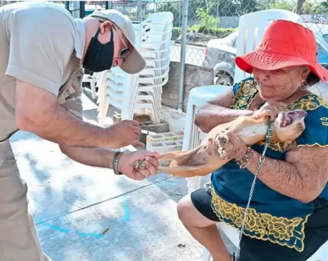 Подборка умильных питомцев