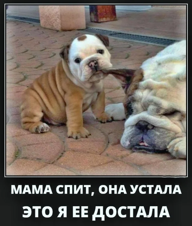 Порция отборного позитива