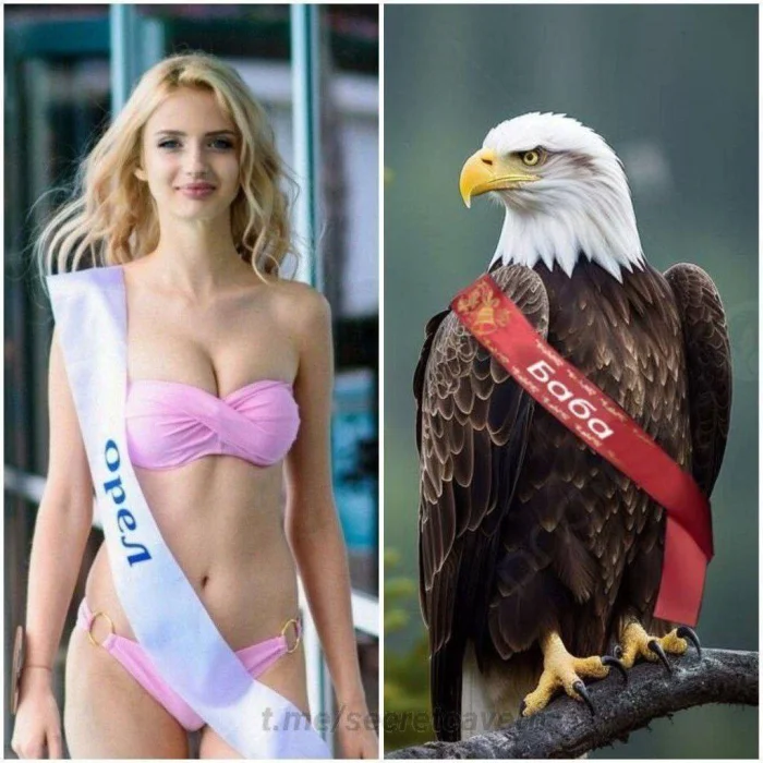 Пошлые мемы и чёрный юмор 18+ | Подборка #125