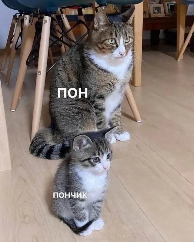 Посмеёмся вместе?