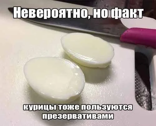 Позитивное настроение в картинках