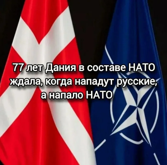 Прикольные картинки для отличного настроения