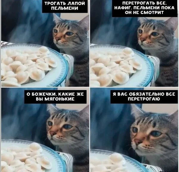 Развлекательные картинки