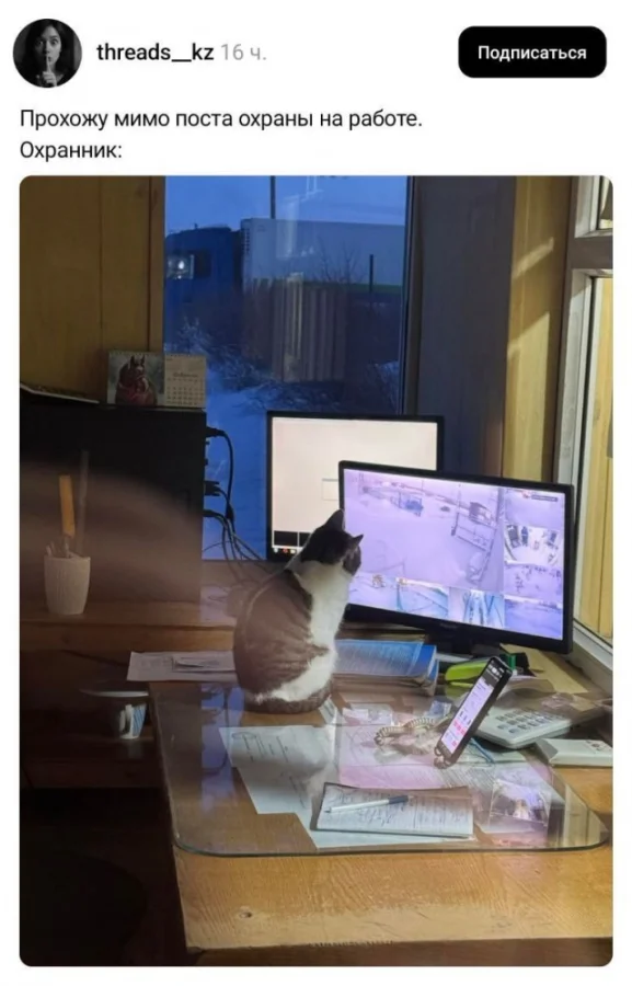 Сборник забавных картинок