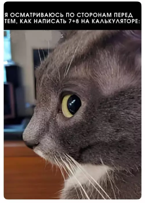 Шутки в картинках, которые спасут день