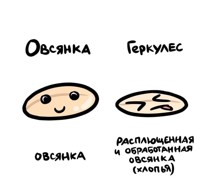 Слова, которые часто путают: в чём разница #1