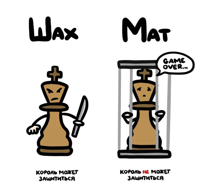 Слова, которые часто путают: в чём разница #10