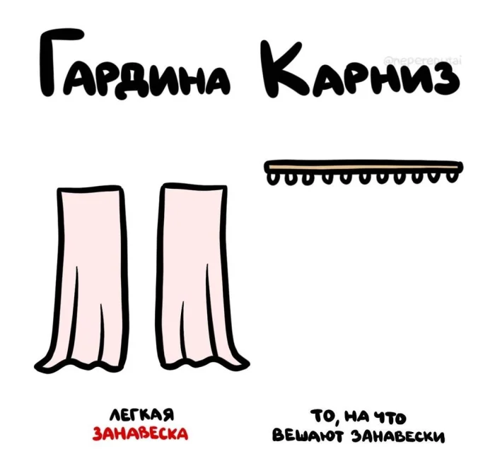 Слова, которые часто путают: в чём разница #10