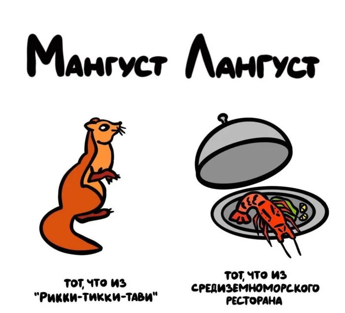 Слова, которые часто путают: в чём разница #11