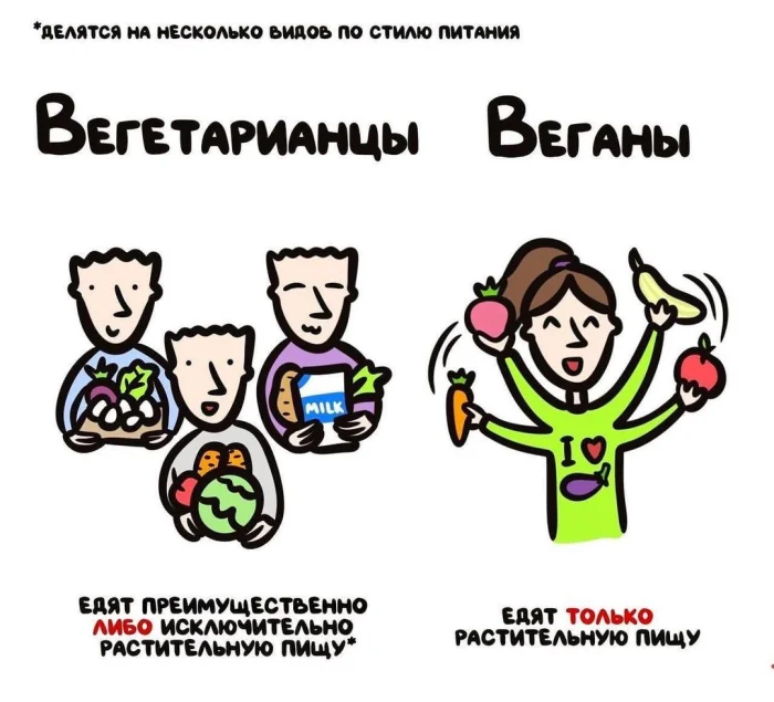 Слова, которые часто путают: в чём разница #17